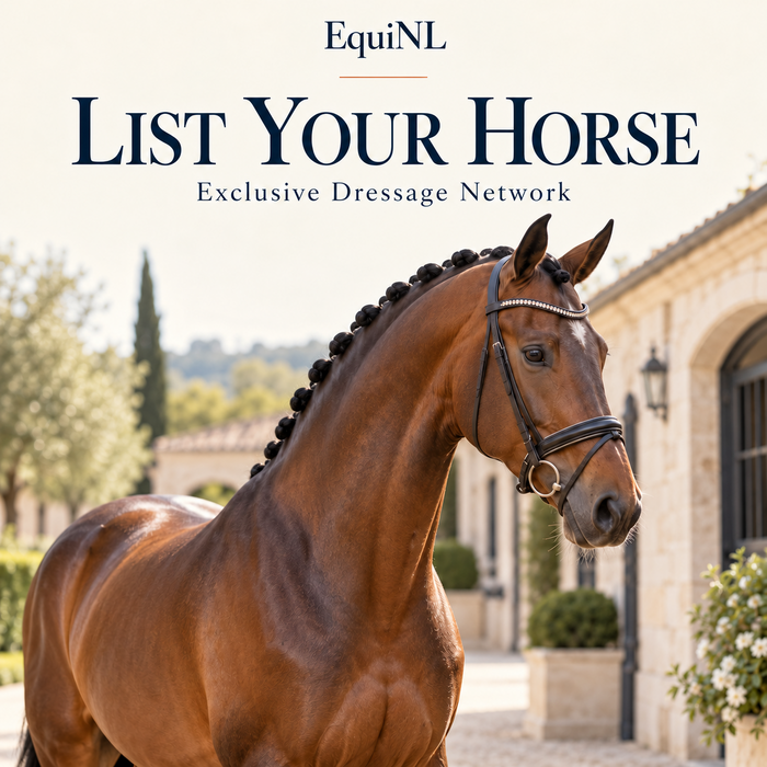 EquiNL Direct Horse Listing