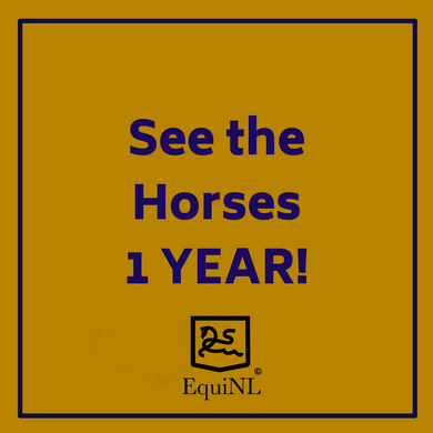 Access for 1 YEAR to the Horses which are for sale now!