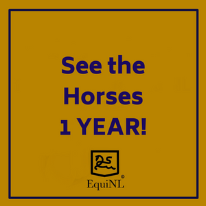 Access for 1 YEAR to the Horses which are for sale now!