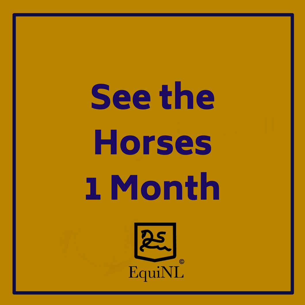 Access for 1 month to the Horses which are for sale now!