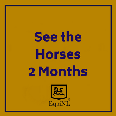 Access for 2 months to the Horses which are for sale now!