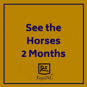 Access for 2 months to the Horses which are for sale now!