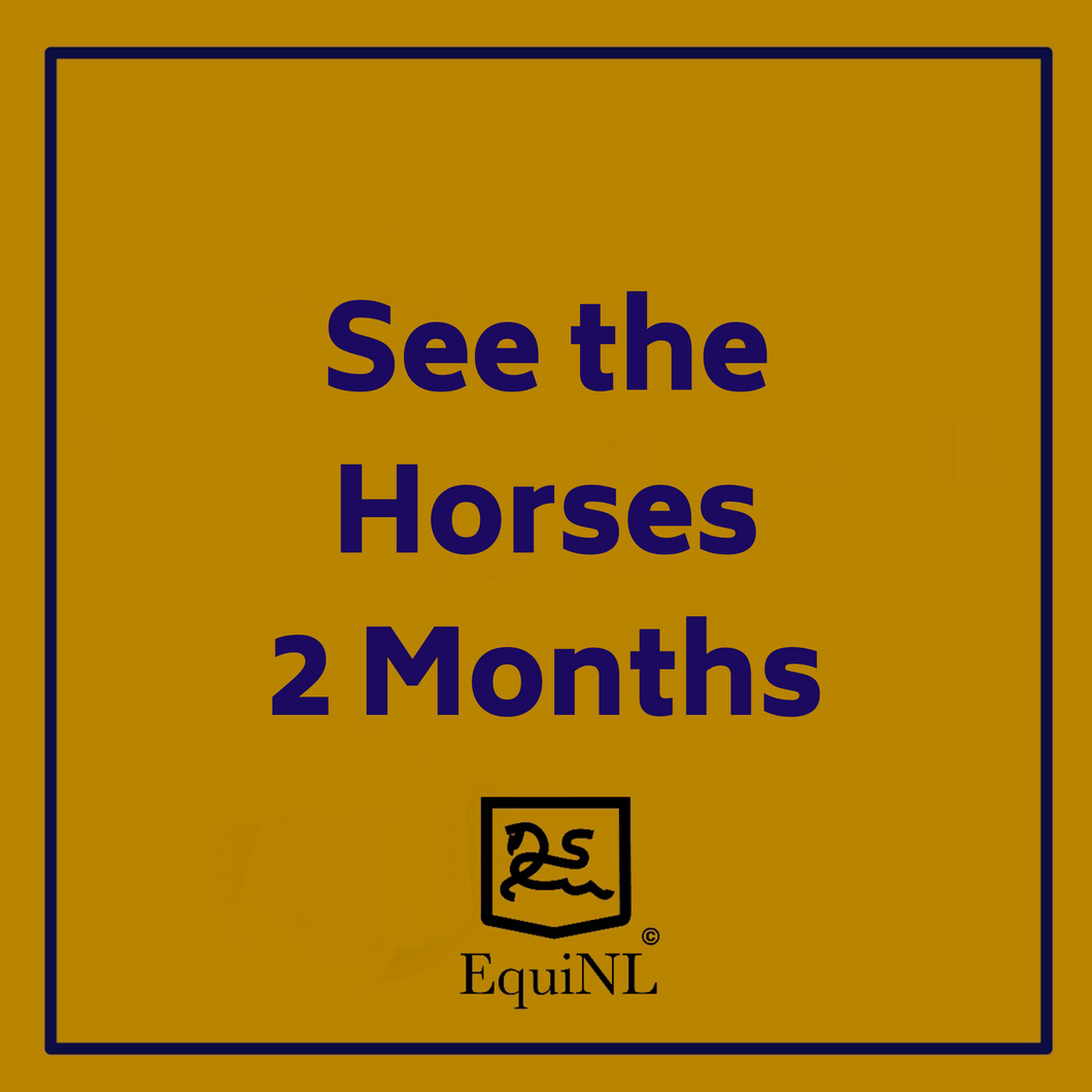 Access for 2 months to the Horses which are for sale now!