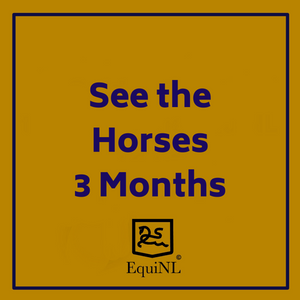 Access for 3 months to the Horses which are for sale now!