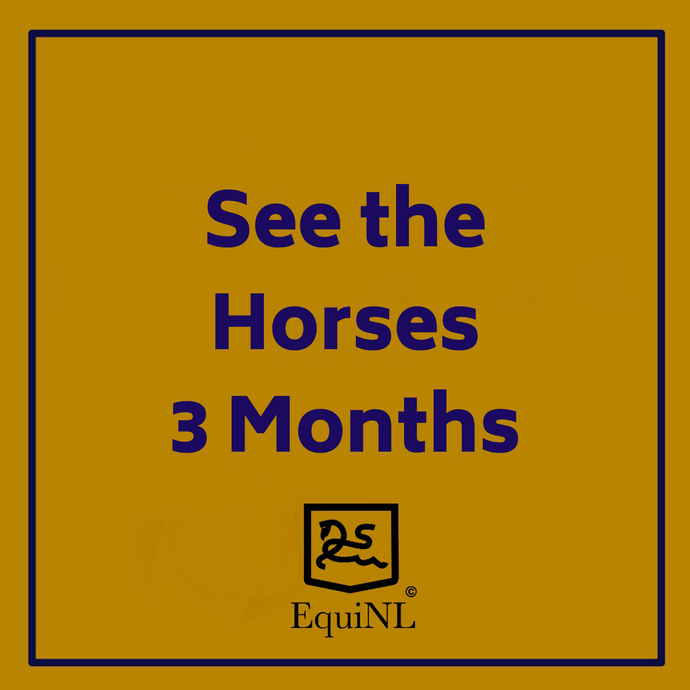 🔥 3-Month Access – Get €75 OFF (Almost 1 Month FREE!)