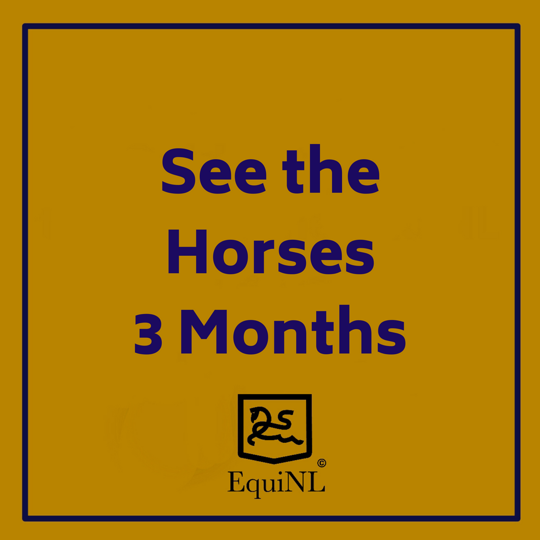 Access for 3 months to the Horses which are for sale now!